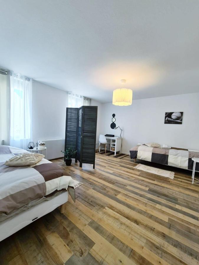 Le Raffine-Parking Prive-Proche Frontiere Bale Apartment Saint-Louis  Exterior photo